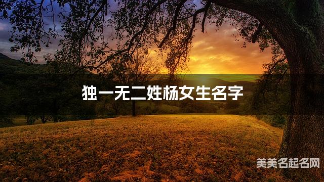 独一无二姓杨女生名字