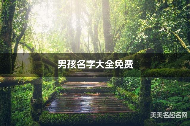 男孩名字大全免费 朗朗上口的名字