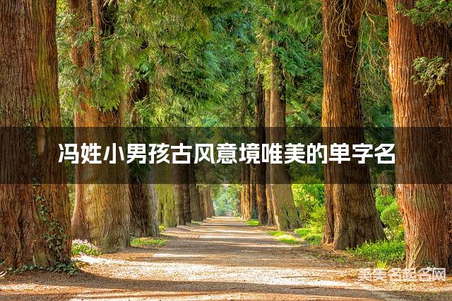 冯姓小男孩古风意境唯美的单字名