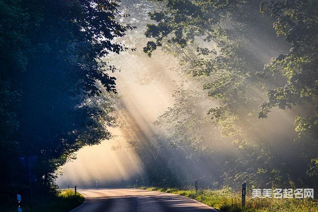 如何用典故给宝宝起个朗朗上口的名字 如何用典故给宝宝起个朗朗上口的名字