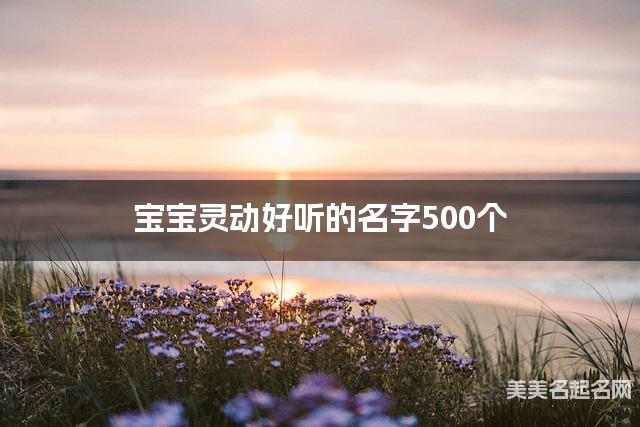 宝宝灵动好听的名字500个