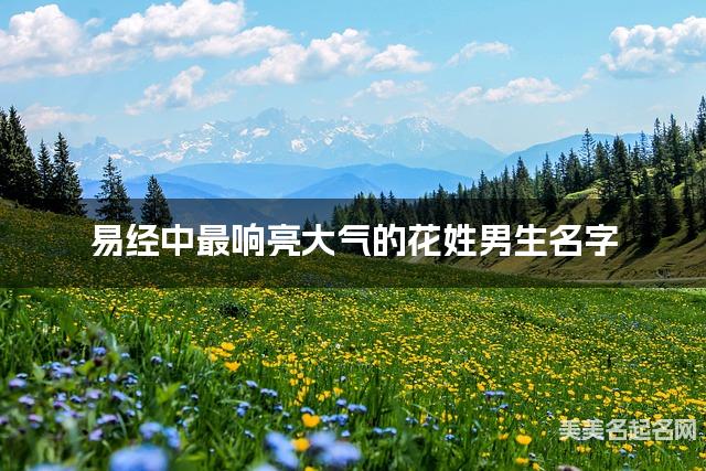 易经中最响亮大气的花姓男生名字