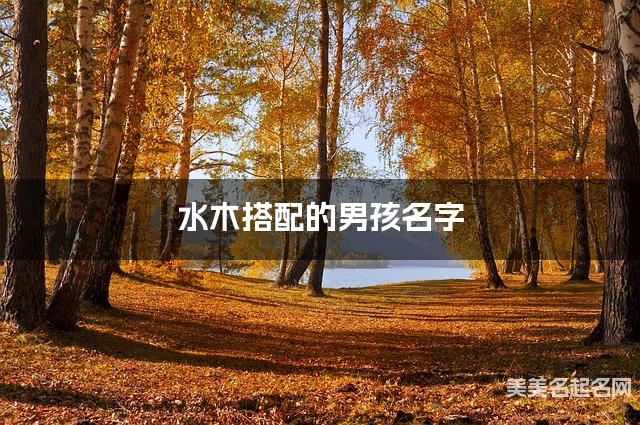 水木搭配的男孩名字 男孩悦耳动听的名字