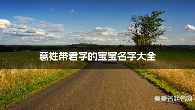 葛姓带君字的宝宝名字大全