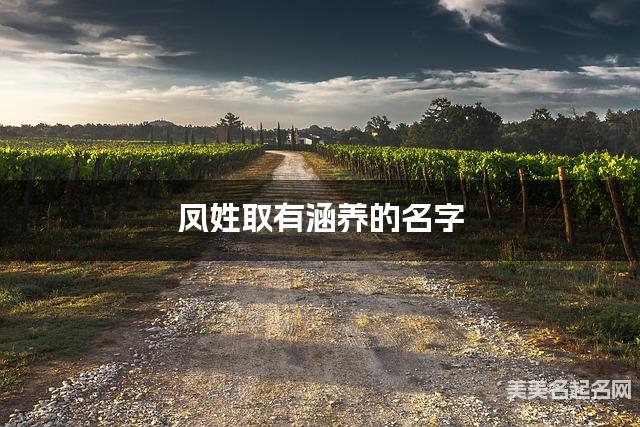 凤姓取有涵养的名字，凤姓女生高端名字