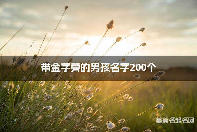 带金字旁的男孩名字200个
