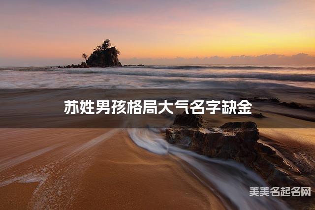 苏姓男孩格局大气名字缺金