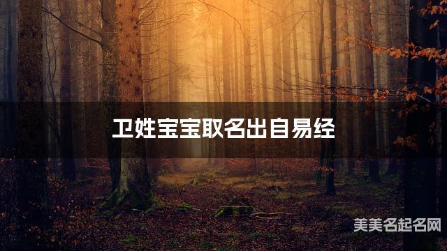 卫姓宝宝取名出自易经