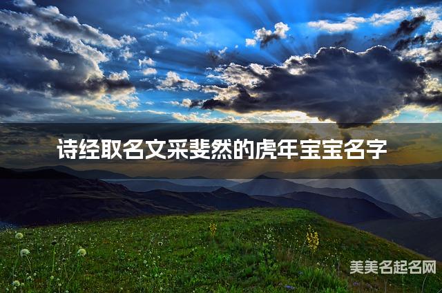 诗经取名文采斐然的虎年宝宝名字