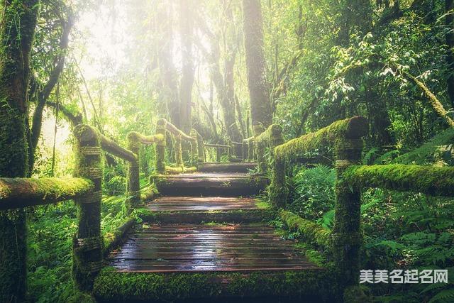 偏旁取名：山字旁最吉利的字女宝宝取名