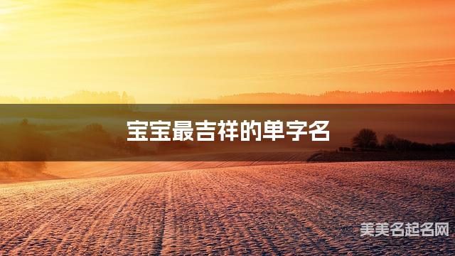 宝宝最吉祥的单字名