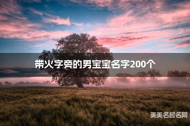 带火字旁的男宝宝名字200个