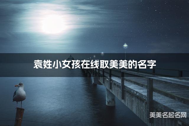 袁姓小女孩在线取美美的名字