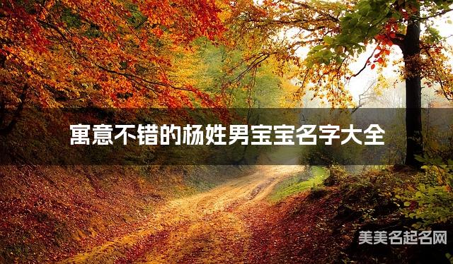 寓意不错的杨姓男宝宝名字大全