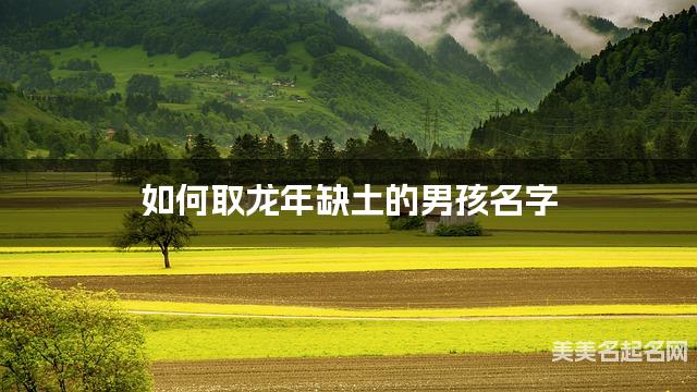 如何取龙年缺土的男孩名字 龙宝宝五行缺木100分名字