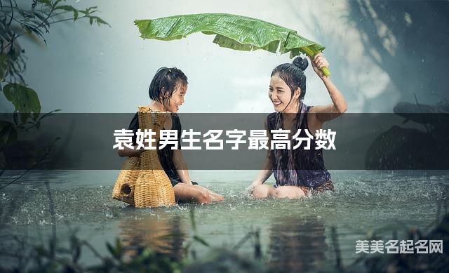 袁姓男生名字最高分数