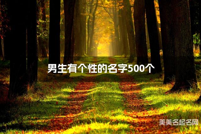 男生有个性的名字500个