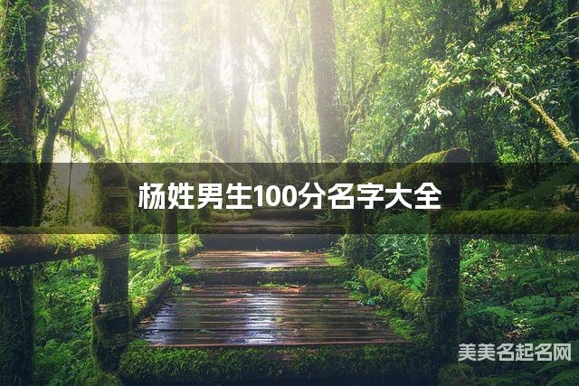 杨姓男生100分名字大全