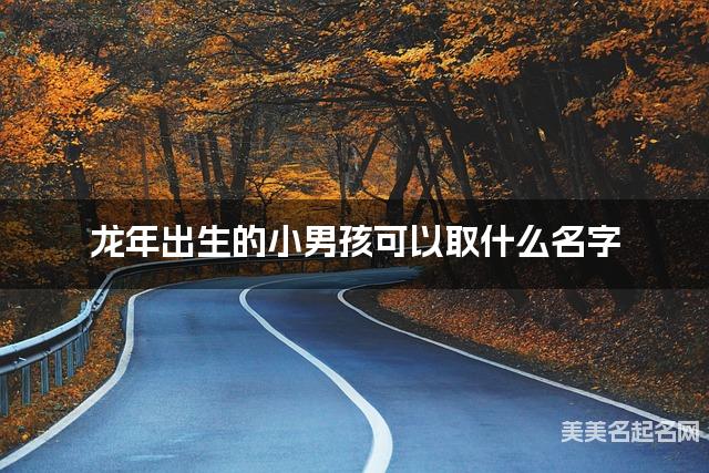 龙年出生的小男孩可以取什么名字（有新意）