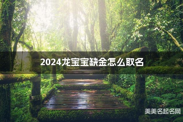 2024龙宝宝缺金怎么取名