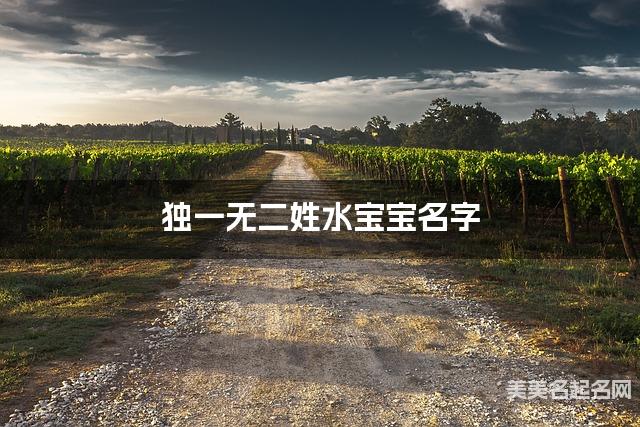 独一无二姓水宝宝名字