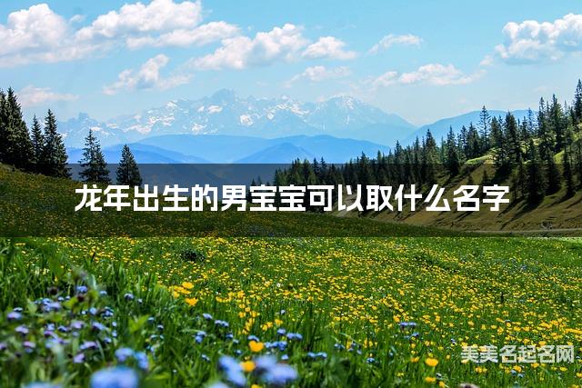 龙年出生的男宝宝可以取什么名字（有创意）
