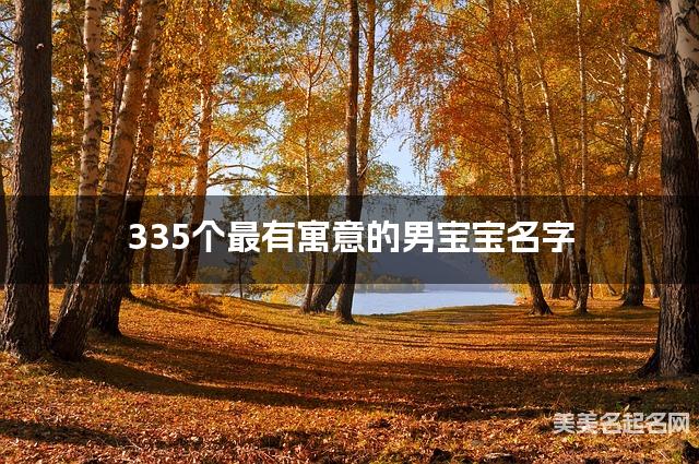 335个最有寓意的男宝宝名字 宝宝免费取名大全