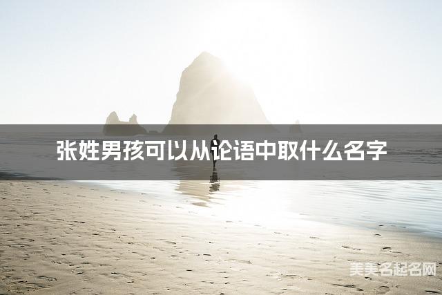 张姓男孩可以从论语中取什么名字