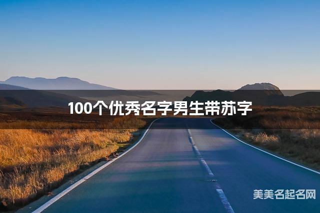 100个优秀名字男生带苏字
