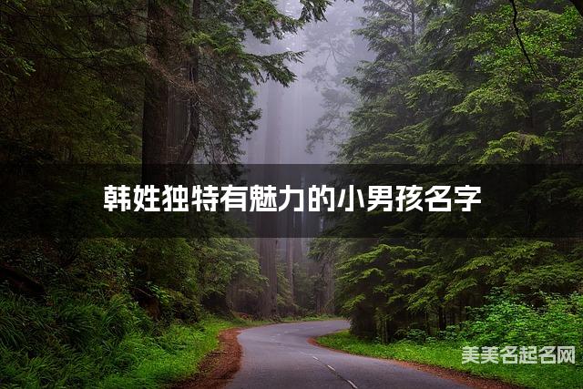 韩姓独特有魅力的小男孩名字