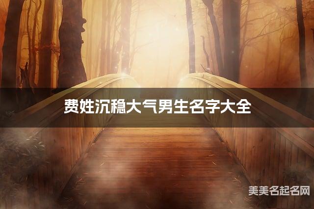 费姓沉稳大气男生名字大全