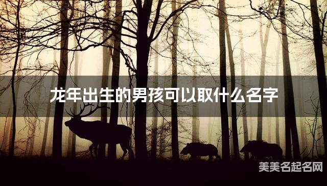 龙年出生的男孩可以取什么名字（有新意）
