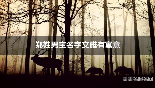 郑姓男宝名字文雅有寓意