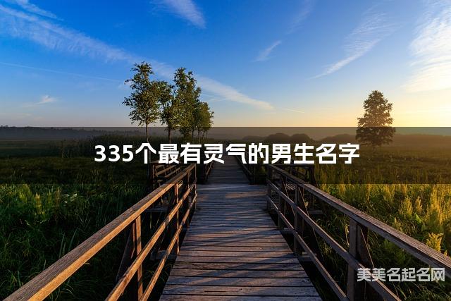 335个最有灵气的男生名字 宝宝免费取名大全