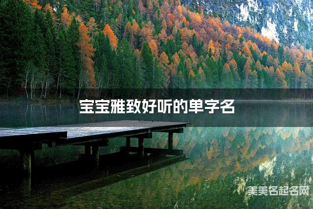 宝宝雅致好听的单字名