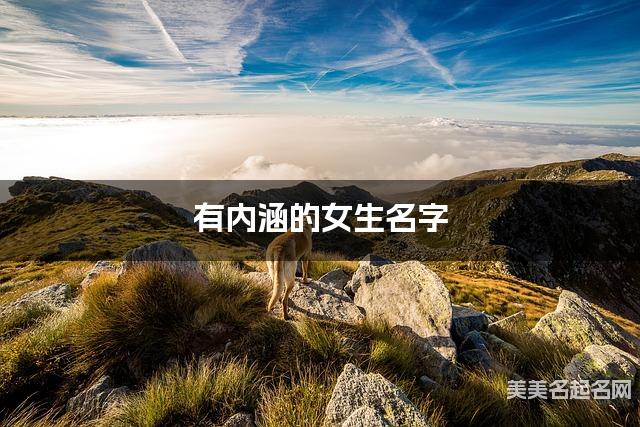 有内涵的女生名字