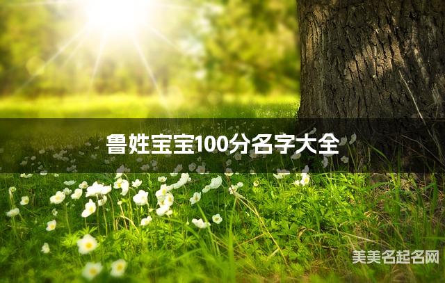 鲁姓宝宝100分名字大全