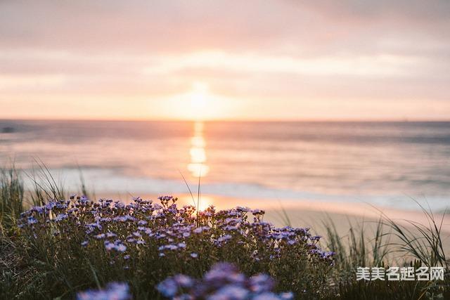 2025年小女孩起名有什么有深意的名字