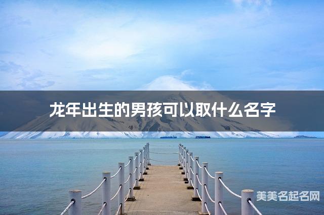 龙年出生的男孩可以取什么名字（有诗意）