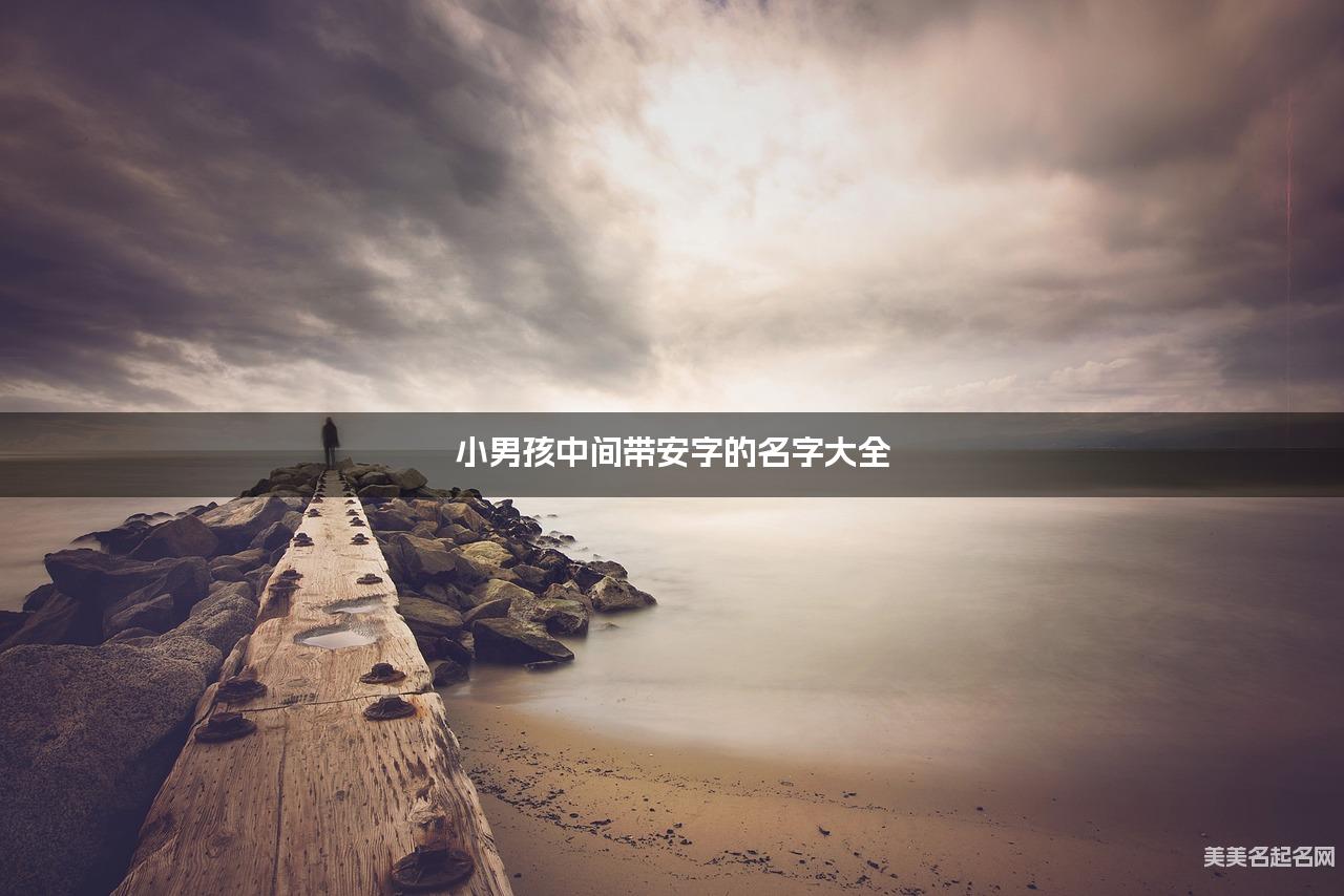 小男孩中间带安字的名字大全