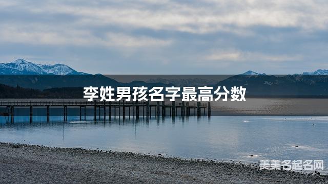 李姓男孩名字最高分数