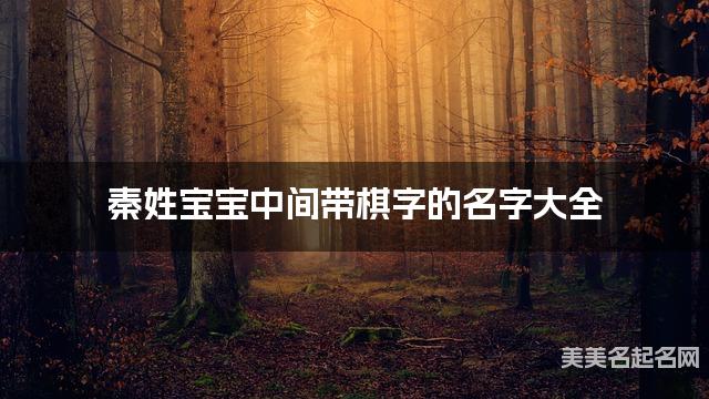 秦姓宝宝中间带棋字的名字大全