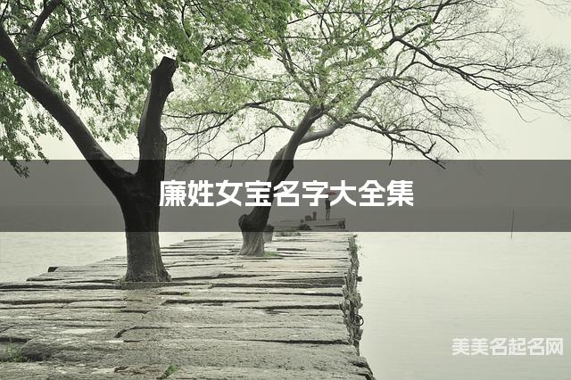 廉姓女宝名字大全集（简单顺口300个）