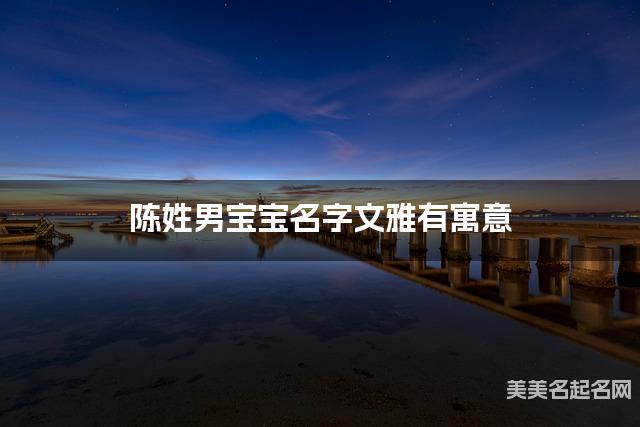 陈姓男宝宝名字文雅有寓意