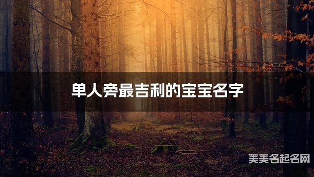 单人旁最吉利的宝宝名字 马姓单人旁取名最有福气