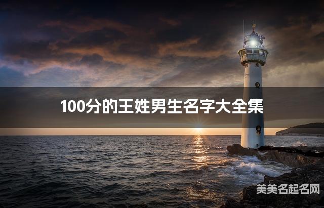 100分的王姓男生名字大全集