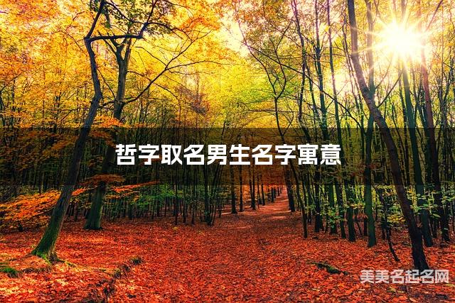哲字取名男生名字寓意 120个搭配最好的带哲字名字