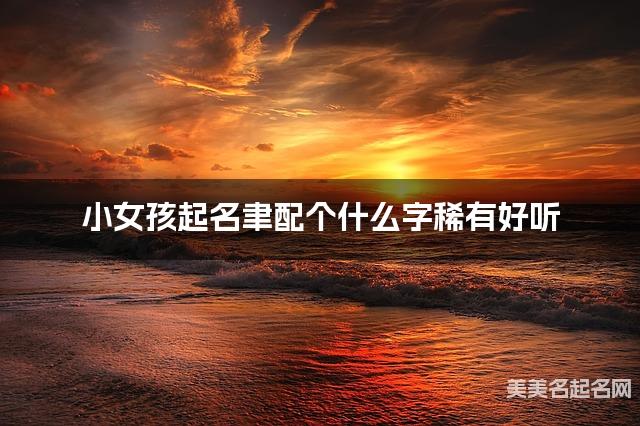 小女孩起名聿配个什么字稀有好听