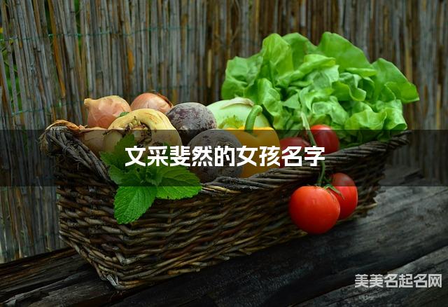 文采斐然的女孩名字（147个最新）