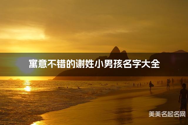 寓意不错的谢姓小男孩名字大全